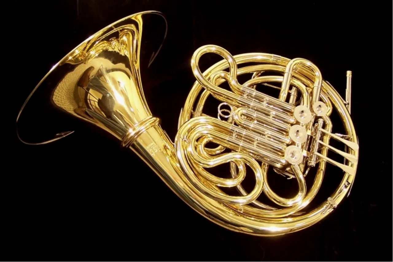 The Ultimate Guide to the Evolution and Versatility of Horn Instruments ...